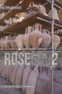 Ruins of Pompeii (Italy) / Scavi di Pompei - ©Marcello Mencarini/Rosebud2