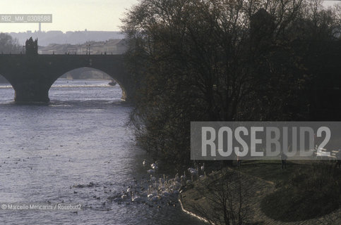 PRAGUE, Moldava river / PRAGA, fiume Moldava - ©Marcello Mencarini/Rosebud2