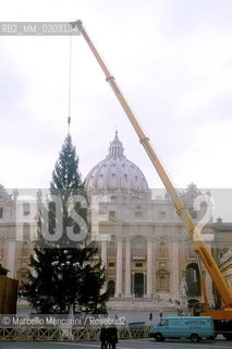 Vatican City, December 9, 1999: Christmas tree in St,. Peters Square / Città del Vaticano, 9 dicembre 1999. Albero di Natale in piazza San Pietro -  Marcello Mencarini
 ©Marcello Mencarini/Rosebud2