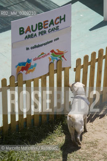 Rome, August 2005. Artficial beach on Lungotevere: area for dogs / Roma, agosto 2005. Spiaggia artificiale sul Lungotevere: area riservata ai cani ©Marcello Mencarini/Rosebud2