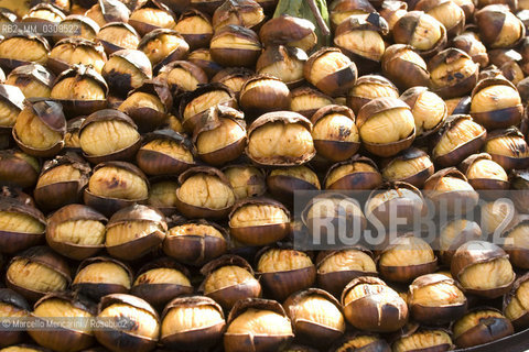 Rome, Piazza Navona Christmas Market. Hot chestnuts / Roma, Mercato di Natale in piazza Navona. Caldarroste - ©Marcello Mencarini/Rosebud2