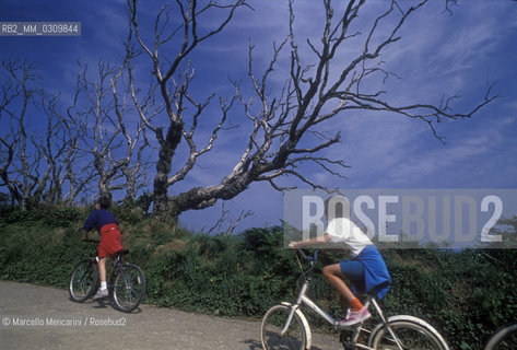 SARK ISLAND / ISOLA DI SARK - ©Marcello Mencarini/Rosebud2