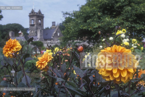 SARK ISLAND, la Seigneurie. Botanical garden / ISOLA DI SARK, la Seigneurie. Giardino botanico - ©Marcello Mencarini/Rosebud2