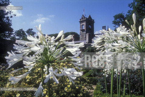 SARK ISLAND, la Seigneurie. Botanical garden / ISOLA DI SARK, la Seigneurie. Giardino botanico - ©Marcello Mencarini/Rosebud2