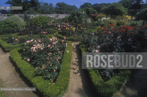 SARK ISLAND, la Seigneurie. Botanical garden / ISOLA DI SARK, la Seigneurie. Giardino botanico - ©Marcello Mencarini/Rosebud2