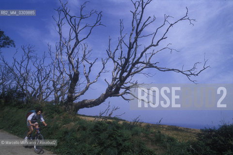 SARK ISLAND / ISOLA DI SARK - ©Marcello Mencarini/Rosebud2