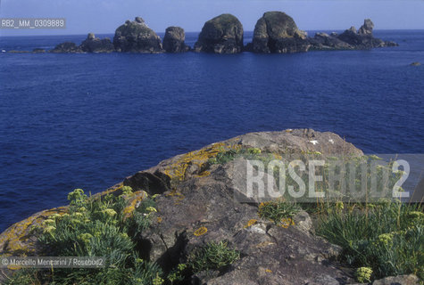 SARK ISLAND, les Burons / ISOLA DI SARK, les Burons - ©Marcello Mencarini/Rosebud2