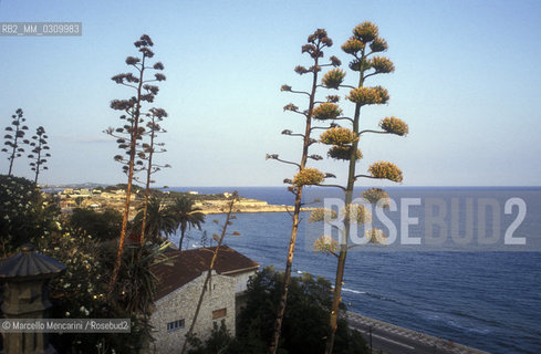 TARRAGONA (Spain) / TARRAGONA (Spagna) - ©Marcello Mencarini/Rosebud2