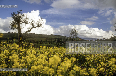 Tuscany country / Campagna toscana - ©Marcello Mencarini/Rosebud2