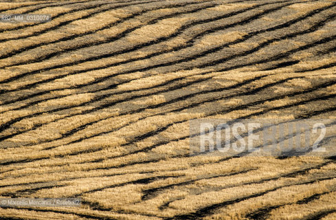 Tuscany country / Campagna toscana - ©Marcello Mencarini/Rosebud2