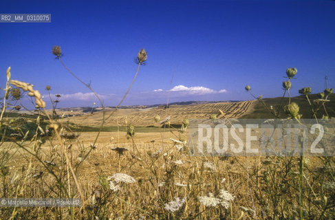 Tuscany country / Campagna toscana - ©Marcello Mencarini/Rosebud2