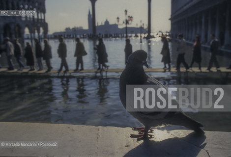 Venice, 1998. High Tide in St. Marks Square. Pigeon with people walking on the gangways in the background / Venezia, 1998. Acqua alta in piazza San Marco. Piccione con passanti sulle passerelle sullo sfondo - ©Marcello Mencarini/Rosebud2