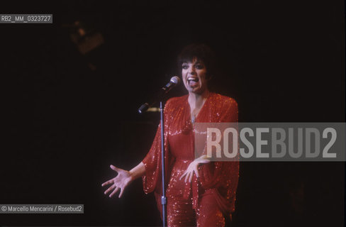 American singer and actress Liza Minnelli performing (about 1985) / Lattrice e cantante Liza Minnelli durante uno spettacolo (1985 circa) - ©Marcello Mencarini/Rosebud2