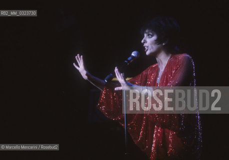 American singer and actress Liza Minnelli performing (about 1985) / Lattrice e cantante Liza Minnelli durante uno spettacolo (1985 circa) - ©Marcello Mencarini/Rosebud2