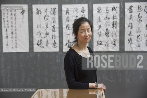 Festival of Literatures, Rome 2012. Japanese-American writer Julie Otsuka in front of some works by Chinese master calligrapher Xiao Yunru shown at Casa delle Letterature / Festival Letterature, Roma 2012. La scrittrice Julie Otsuka davanti ad alcune opere del calligrafo cinese Xiao Yunru esposte nella Casa delle Letterature - ©Marcello Mencarini/Rosebud2