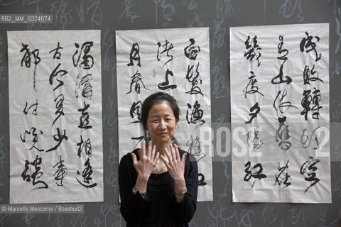 Festival of Literatures, Rome 2012. Japanese-American writer Julie Otsuka in front of some works by Chinese master calligrapher Xiao Yunru shown at Casa delle Letterature / Festival Letterature, Roma 2012. La scrittrice Julie Otsuka davanti ad alcune opere del calligrafo cinese Xiao Yunru esposte nella Casa delle Letterature - ©Marcello Mencarini/Rosebud2