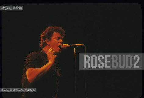 Milan, Arena Civica, 1980. Rock guitarist, singer and songwriter Lou Reed in concert / Milano, Arena Civica, 1980. Il chitarrista e cantautore Lou Reed in concerto - ©Marcello Mencarini/Rosebud2