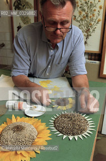 Turin, December 6, 2000. British artist Stuart Thornton in his studio where he composes his botanicals / Torino, 6 dicembre 2000. Lartista inglese Stuart Thornton nel suo studio dove compone i suoi erbari - ©Marcello Mencarini/Rosebud2