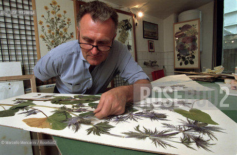 Turin, December 6, 2000. British artist Stuart Thornton in his studio where he composes his botanicals / Torino, 6 dicembre 2000. Lartista inglese Stuart Thornton nel suo studio dove compone i suoi erbari - ©Marcello Mencarini/Rosebud2