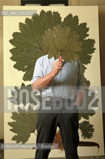 Turin, December 6, 2000. British artist Stuart Thornton in his studio where he composes his botanicals / Torino, 6 dicembre 2000. Lartista inglese Stuart Thornton nel suo studio dove compone i suoi erbari - ©Marcello Mencarini/Rosebud2