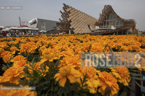 Milan Expo 2015. Chinese Pavilion designed by Su Dan architect and a team of Tsinghua University in collaboration with Studio Link-Arc based in New York / Expo Milano 2015. Il padiglione della Cina progettato dallarchitetto Su Dan con un team della Tsinghua University in collaborazione con lo Studio Link-Ar di New York - ©Marcello Mencarini/Rosebud2