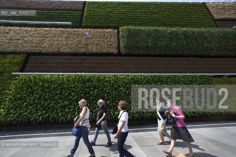 Milan Expo 2015. Vertical field of  wheat, rice and corn on one side of the Israeli Pavilion. It doesn’t accomplish just aesthetic functions but it introduces the Vertical planting, a revolutionary technology that allows land and water resources to be spared  / Expo Milano 2015. Vertical field, campo verticale di grano, riso e mais realizzato su un lato del padiglione israeliano. Questa parete non è stata pensata solo come un elemento estetico, ma anche come esempio di un metodo rivoluzionario di coltivazione che consente di risparmiare terreni e risorse idriche  - ©Marcello Mencarini/Rosebud2