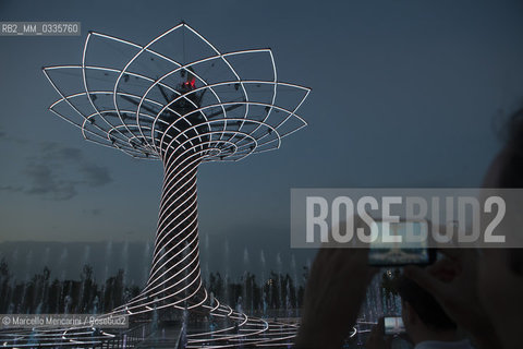 Milan Expo 2015. The Tree of Life designed by Marco Balich as symbol of the event. It is is a wood and steel scenic machine that will offer 1.200 light shows during the 6 months of Expo / Expo Milano 2015. LAlbero della vita progettato da Marco Balich, una struttura in legno e acciaio simbolo dellevento che durante i 6 mesi dellExpo produrrà 1200 show con effetti di luce - ©Marcello Mencarini/Rosebud2