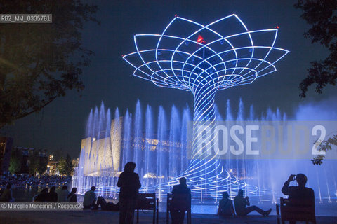 Milan Expo 2015. The Tree of Life designed by Marco Balich as symbol of the event. It is is a wood and steel scenic machine that will offer 1.200 light shows during the 6 months of Expo / Expo Milano 2015. LAlbero della vita progettato da Marco Balich, una struttura in legno e acciaio simbolo dellevento che durante i 6 mesi dellExpo produrrà 1200 show con effetti di luce - ©Marcello Mencarini/Rosebud2