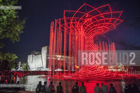 Milan Expo 2015. The Tree of Life designed by Marco Balich as symbol of the event. It is is a wood and steel scenic machine that will offer 1.200 light shows during the 6 months of Expo / Expo Milano 2015. LAlbero della vita progettato da Marco Balich, una struttura in legno e acciaio simbolo dellevento che durante i 6 mesi dellExpo produrrà 1200 show con effetti di luce - ©Marcello Mencarini/Rosebud2