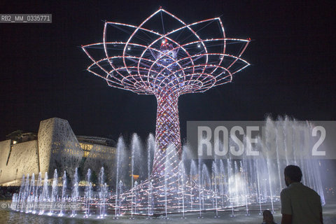 Milan Expo 2015. The Tree of Life designed by Marco Balich as symbol of the event. It is is a wood and steel scenic machine that will offer 1.200 light shows during the 6 months of Expo / Expo Milano 2015. LAlbero della vita progettato da Marco Balich, una struttura in legno e acciaio simbolo dellevento che durante i 6 mesi dellExpo produrrà 1200 show con effetti di luce - ©Marcello Mencarini/Rosebud2