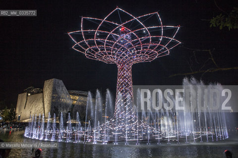 Milan Expo 2015. The Tree of Life designed by Marco Balich as symbol of the event. It is is a wood and steel scenic machine that will offer 1.200 light shows during the 6 months of Expo / Expo Milano 2015. LAlbero della vita progettato da Marco Balich, una struttura in legno e acciaio simbolo dellevento che durante i 6 mesi dellExpo produrrà 1200 show con effetti di luce - ©Marcello Mencarini/Rosebud2