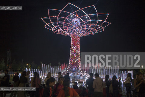 Milan Expo 2015. The Tree of Life designed by Marco Balich as symbol of the event. It is is a wood and steel scenic machine that will offer 1.200 light shows during the 6 months of Expo / Expo Milano 2015. LAlbero della vita progettato da Marco Balich, una struttura in legno e acciaio simbolo dellevento che durante i 6 mesi dellExpo produrrà 1200 show con effetti di luce - ©Marcello Mencarini/Rosebud2