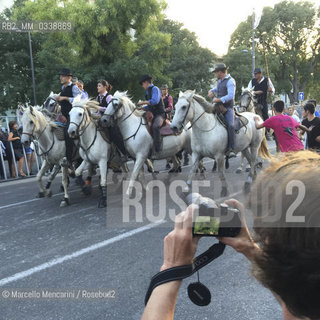 Arles, France, Feria du riz. Abrivado along a road protected by barriers. In the past this word indicated the work of cowboys (guardians) riding in a group that surrounded the bulls (usually four) for transporting them from one pasture to another. The boys of the villages along the way were trying to snatch the bulls and still, during this festival, local youth transcend barriers and try to catch the bulls / Arles, Francia, Feria du riz. Abrivado lungo una strada protetta da barriere. Una volta con questa parola si indicava il lavoro dei cow boys (guardians) a cavallo che circondavano in gruppo i tori (di solito quatttro) per trasportarli da un pascolo allaltro. I ragazzi dei villaggi lungo il tragitto cercavano di far fuggire i tori per appropriarsene e ancora oggi durante questa festa i giovani del luogo oltrepassano le barriere e cercano di afferrare i tori  - ©Marcello Mencarini/Rosebud2