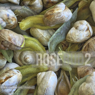 Vintage objects at brocante market at LIsle sur la Sorgue, France: rubber snails / Oggetti dantiquariato al mercato brocante di LIsle sur la Sorgue, Francia: chiocciole di gomma.  - ©Marcello Mencarini/Rosebud2