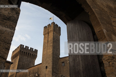 Il Castello de lEmperi, IX Secolo, costruito sulla roccia di Puech che domina la grande pianura della Crau, nel comune di Salon de Provence (Francia). Qui furono ospitati la regina Caterina de Medici e suo figlio Carlo IX, quando fecero visita a Nostradamus nel 1564. Oggi è un museo  /  The Château de lEmpéri, a 9th-century castle built on the rock of Puech which dominates the plain of Crau in the commune of Salon-de-Provence (France). Here were hosted Queen Catherine de Medici and his son Charles IX, when they visited Nostradamus in 1564. Now it is a museum - ©Marcello Mencarini/Rosebud2