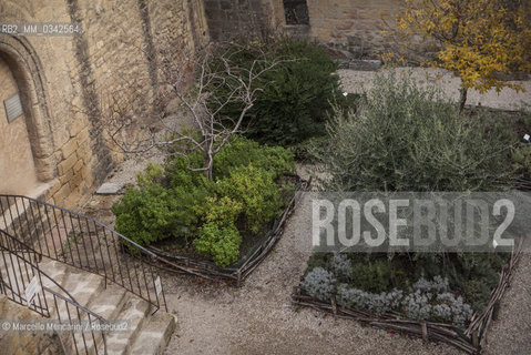 Giardino dei Semplici nel Castello dellEmperi a Salon de Provence. In questa città visse Nostradamus (Michel de Nostredame, 1503-1566), medico e astrologo che si occupò anche di erbe officinali, usandole come rimedio contro la peste. Questo giardino, realizzato nel 2003 ijn occasione dei 500 anni dalla sua nascita, è composto dalle piante che Nostradamus utilizzava nelle sue ricette (raccolte nel Traité des fardements et des confitures), raggruppate in aiuole rinchiuse da rami di castagno intrecciati, come si usava alla sua epoca / Garden of “simples” in the Château de lEmpéri in Salon-de-Provence (France). In this town in the South of France lived Nostradamus (Michel de Nostredame, 1503-1566), physician and astrologer who studied also the medicinal herbs, using them as a remedy against the plague too. This garden, built in 2003 in the 500th anniversary of his birth, is made with plants that Nostradamus used in his recipes (collected in his book “Traité des fardements et des confitures”), grouped in flower beds of intertwined chestnut branches, as was usual int his time - ©Marcello Mencarini/Rosebud2