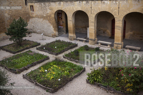 Giardino dei Semplici nel Castello dellEmperi a Salon de Provence. In questa città visse Nostradamus (Michel de Nostredame, 1503-1566), medico e astrologo che si occupò anche di erbe officinali, usandole come rimedio contro la peste. Questo giardino, realizzato nel 2003 ijn occasione dei 500 anni dalla sua nascita, è composto dalle piante che Nostradamus utilizzava nelle sue ricette (raccolte nel Traité des fardements et des confitures), raggruppate in aiuole rinchiuse da rami di castagno intrecciati, come si usava alla sua epoca / Garden of “simples” in the Château de lEmpéri in Salon-de-Provence (France). In this town in the South of France lived Nostradamus (Michel de Nostredame, 1503-1566), physician and astrologer who studied also the medicinal herbs, using them as a remedy against the plague too. This garden, built in 2003 in the 500th anniversary of his birth, is made with plants that Nostradamus used in his recipes (collected in his book “Traité des fardements et des confitures”), grouped in flower beds of intertwined chestnut branches, as was usual int his time - ©Marcello Mencarini/Rosebud2