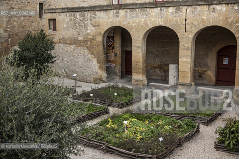 Giardino dei Semplici nel Castello dellEmperi a Salon de Provence. In questa città visse Nostradamus (Michel de Nostredame, 1503-1566), medico e astrologo che si occupò anche di erbe officinali, usandole come rimedio contro la peste. Questo giardino, realizzato nel 2003 ijn occasione dei 500 anni dalla sua nascita, è composto dalle piante che Nostradamus utilizzava nelle sue ricette (raccolte nel Traité des fardements et des confitures), raggruppate in aiuole rinchiuse da rami di castagno intrecciati, come si usava alla sua epoca / Garden of “simples” in the Château de lEmpéri in Salon-de-Provence (France). In this town in the South of France lived Nostradamus (Michel de Nostredame, 1503-1566), physician and astrologer who studied also the medicinal herbs, using them as a remedy against the plague too. This garden, built in 2003 in the 500th anniversary of his birth, is made with plants that Nostradamus used in his recipes (collected in his book “Traité des fardements et des confitures”), grouped in flower beds of intertwined chestnut branches, as was usual int his time - ©Marcello Mencarini/Rosebud2