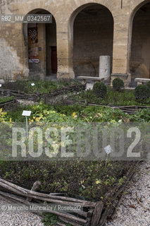 Giardino dei Semplici nel Castello dellEmperi a Salon de Provence. In questa città visse Nostradamus (Michel de Nostredame, 1503-1566), medico e astrologo che si occupò anche di erbe officinali, usandole come rimedio contro la peste. Questo giardino, realizzato nel 2003 ijn occasione dei 500 anni dalla sua nascita, è composto dalle piante che Nostradamus utilizzava nelle sue ricette (raccolte nel Traité des fardements et des confitures), raggruppate in aiuole rinchiuse da rami di castagno intrecciati, come si usava alla sua epoca / Garden of “simples” in the Château de lEmpéri in Salon-de-Provence (France). In this town in the South of France lived Nostradamus (Michel de Nostredame, 1503-1566), physician and astrologer who studied also the medicinal herbs, using them as a remedy against the plague too. This garden, built in 2003 in the 500th anniversary of his birth, is made with plants that Nostradamus used in his recipes (collected in his book “Traité des fardements et des confitures”), grouped in flower beds of intertwined chestnut branches, as was usual int his time - ©Marcello Mencarini/Rosebud2