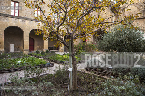 Giardino dei Semplici nel Castello dellEmperi a Salon de Provence. In questa città visse Nostradamus (Michel de Nostredame, 1503-1566), medico e astrologo che si occupò anche di erbe officinali, usandole come rimedio contro la peste. Questo giardino, realizzato nel 2003 ijn occasione dei 500 anni dalla sua nascita, è composto dalle piante che Nostradamus utilizzava nelle sue ricette (raccolte nel Traité des fardements et des confitures), raggruppate in aiuole rinchiuse da rami di castagno intrecciati, come si usava alla sua epoca / Garden of “simples” in the Château de lEmpéri in Salon-de-Provence (France). In this town in the South of France lived Nostradamus (Michel de Nostredame, 1503-1566), physician and astrologer who studied also the medicinal herbs, using them as a remedy against the plague too. This garden, built in 2003 in the 500th anniversary of his birth, is made with plants that Nostradamus used in his recipes (collected in his book “Traité des fardements et des confitures”), grouped in flower beds of intertwined chestnut branches, as was usual int his time - ©Marcello Mencarini/Rosebud2