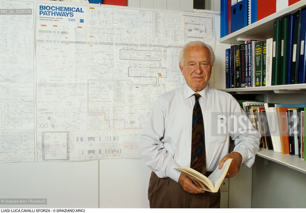 Trieste,1994.Luigi Luca Cavalli-Sforza, genetista e scienziato,professore emerito allUniversità di Stanford,antropologo e accademico dei Lincei.Scienza Genetica antropologia ritratto scienziatom -Trieste,1994.Portrait of Luigi Luca Cavalli-Sforza, population geneticist and professor at Stanford University ©Graziano Arici/Rosebud2