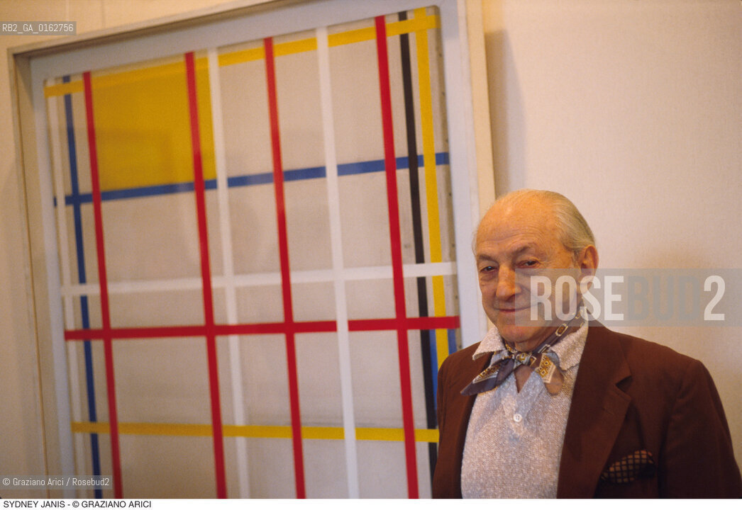 Caption: Nome: .JANIS SYDNEY.Descrizione: .ARTE GALLERISTA / QUADRO MONDRIAN.Credit: ©Graziano Arici/Rosebud2 / Costo: .A.Nazione: .USA.Cittˆ: ..Data: .1981