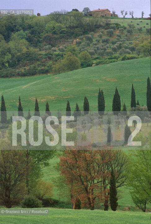 TOSCANA , CAMPAGNA TOSCANA - © 2002 Graziano Arici/Rosebud2 / GEO /