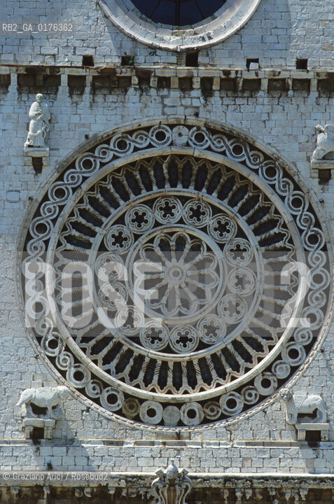 UMBRIA, ASSISI : BASILICA DI S.FRANCESCO - ROSONE  - © 2002 Graziano Arici/Rosebud2 / GEO / CHIESA