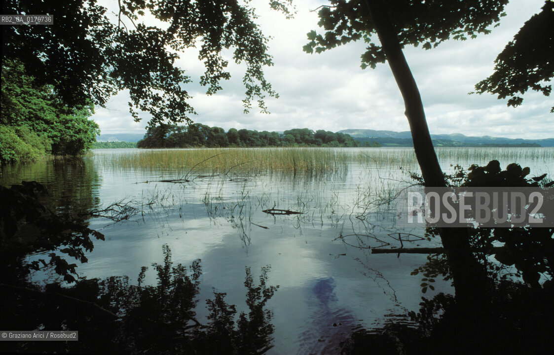 IRLANDA (SLIGO) LA TERRA DI W.B.YEATS : LOUGH GILL E LISOLA DI INISHFREE    - © 2002 Graziano Arici/Rosebud2 / GEO / LETTERATURA / POESIA / LAGO