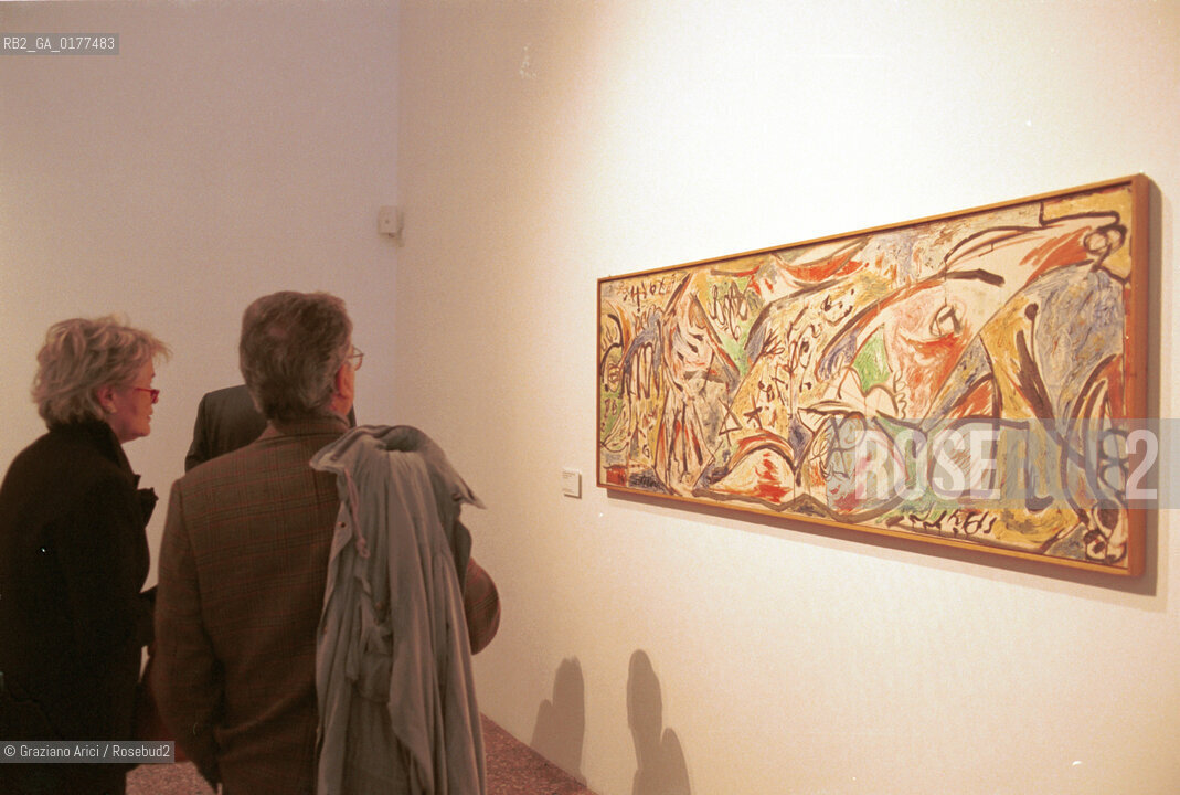 VENEZIA 21/3/02 - MUSEO CORRER -  MOSTRA LAMERICA DI POLLOCK/ JACKSON POLLOCK A VENEZIA - @ Graziano Arici/Rosebud2