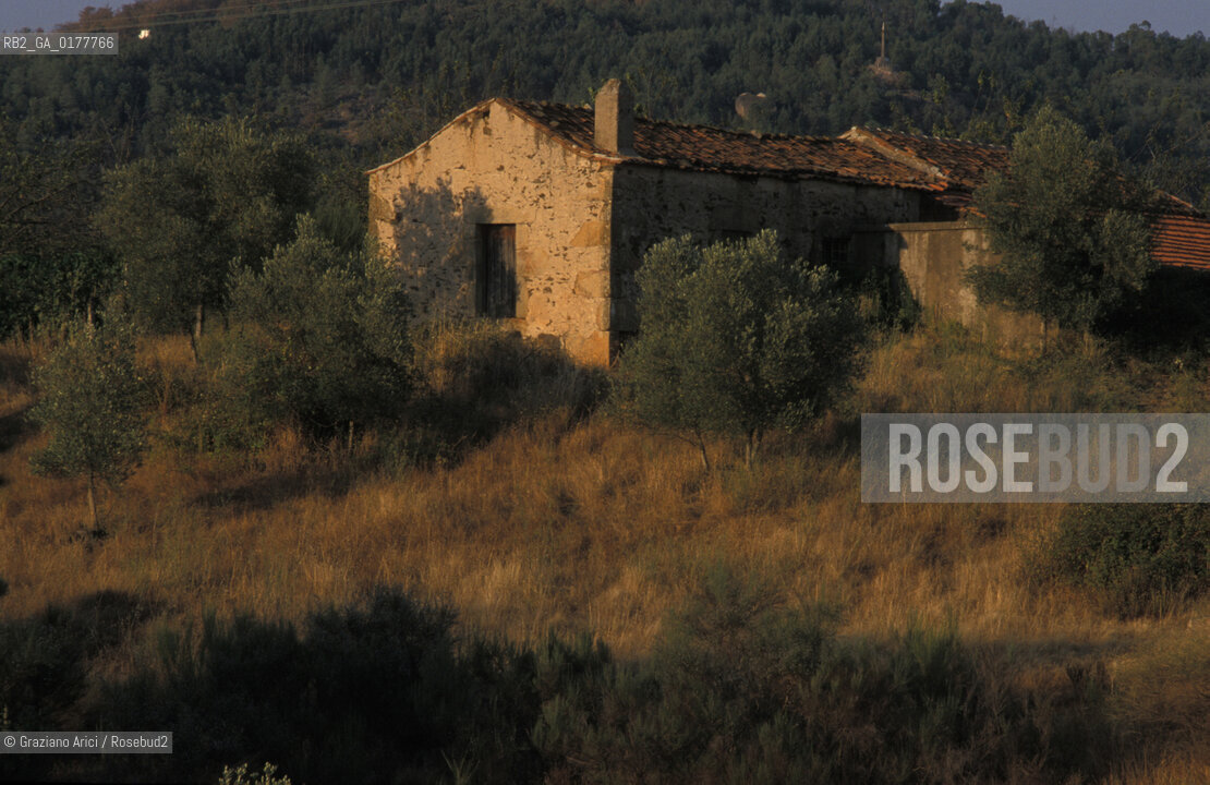 PORTOGALLO, (ALENTEJO) CAMPAGNA     @ 2002 Graziano Arici/Rosebud2  / GEO