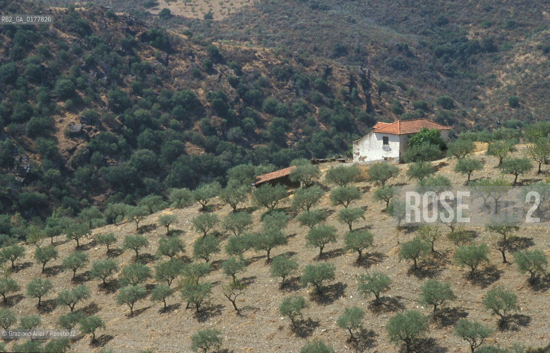 PORTOGALLO, (LE BEIRAS) PAESAGGIO     @ 2002 Graziano Arici/Rosebud2 / GEO