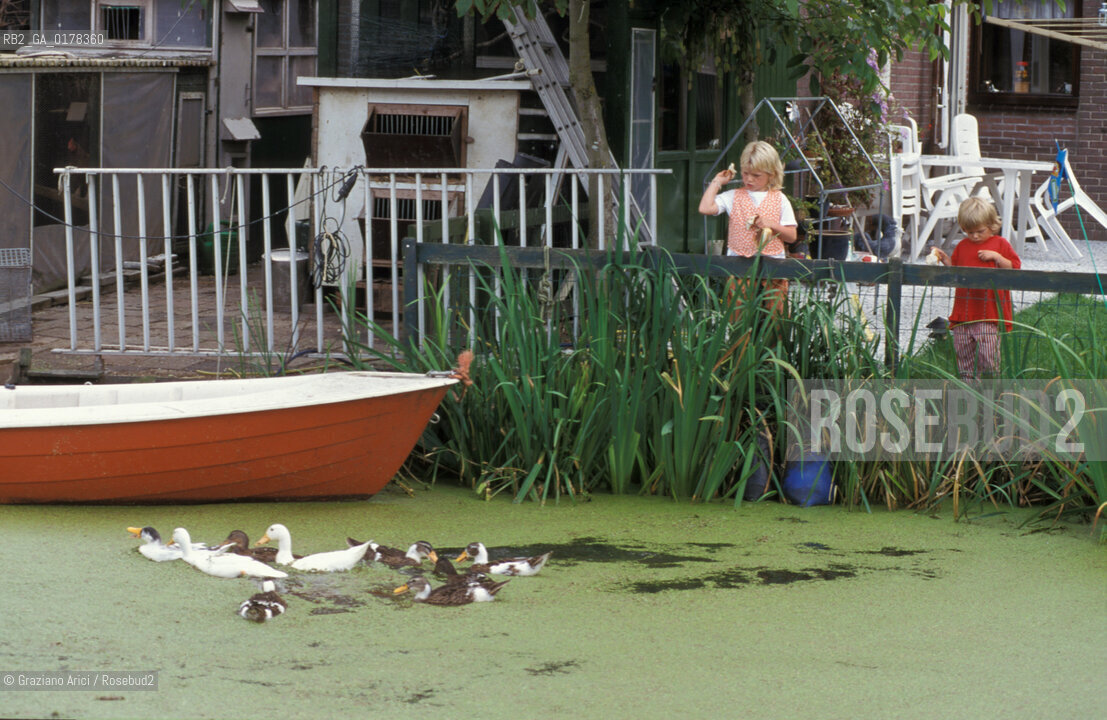 OLANDA , (NOORD-HOLLAND) MARKEN : CANALE    -  © 2002 Graziano Arici/Rosebud2 / ANATRA / GEO