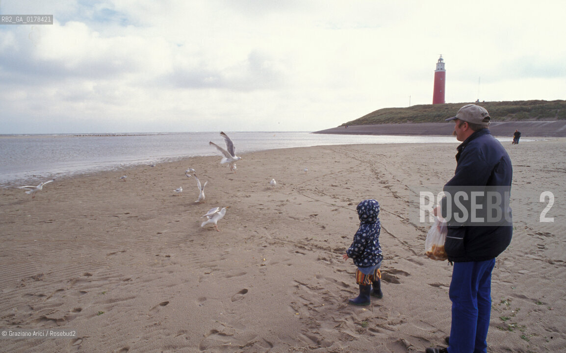 OLANDA , ( ISOLE FRISONE ) TEXEL :SPIAGGIA -  © 2002 Graziano Arici/Rosebud2 / GEO / UCCELLO